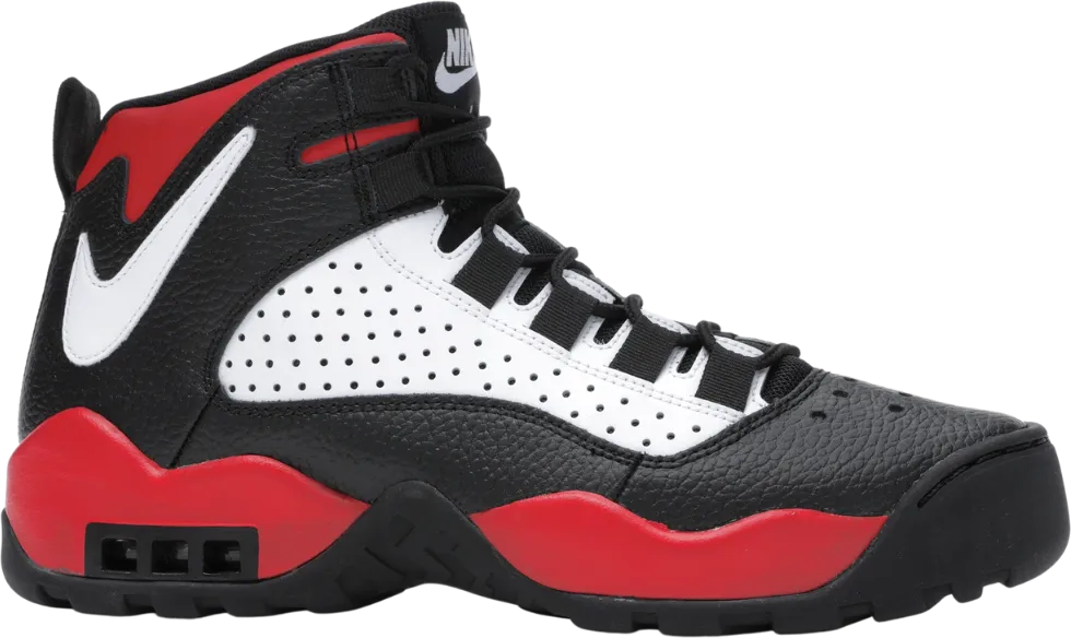 Nike Air Darwin Bulls