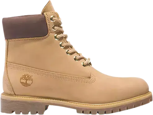 Timberland 50th Edition Butters 6-Inch Waterproof Boot Light Beige Nubuck