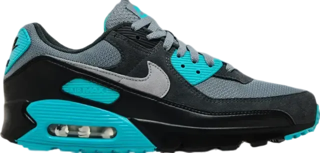 Nike Air Max 90 Cool Grey Dusty Cactus 
