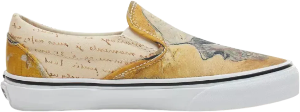 VANS VINCENT VAN GOGH X SLIP-ON SKUL