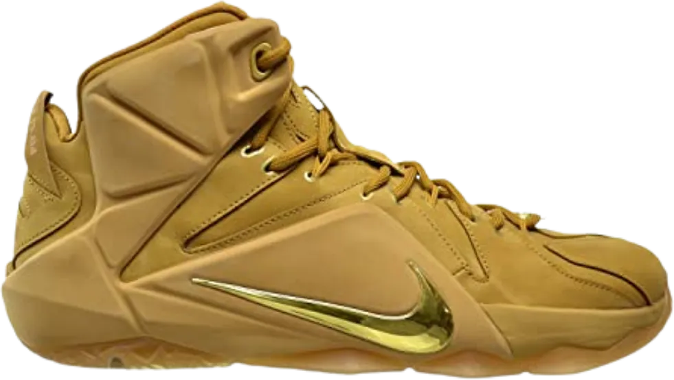 Nike LeBron 12 EXT