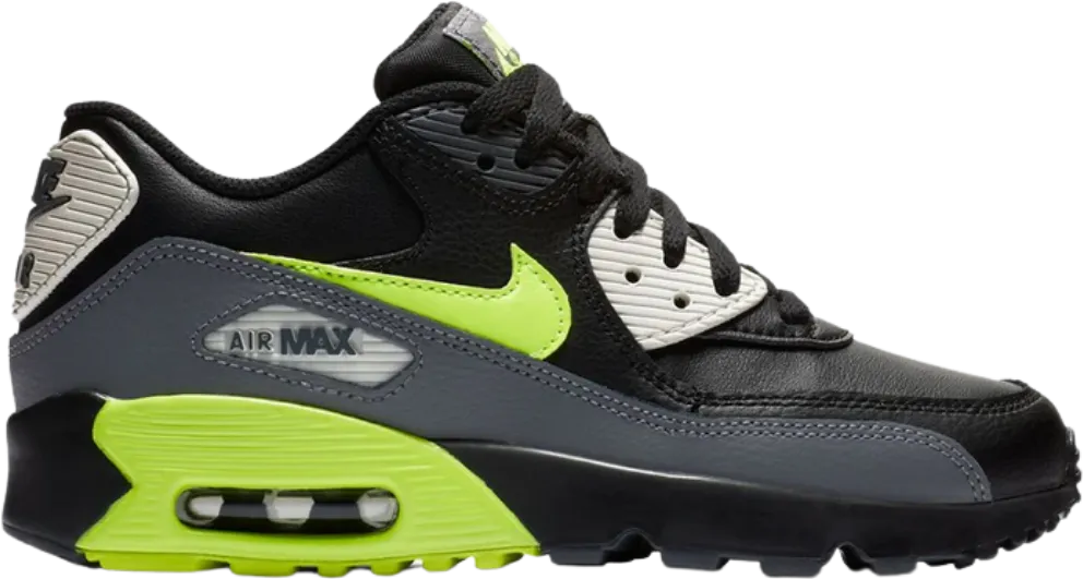 Nike Air Max 90 Dark Grey Volt Black (GS)
