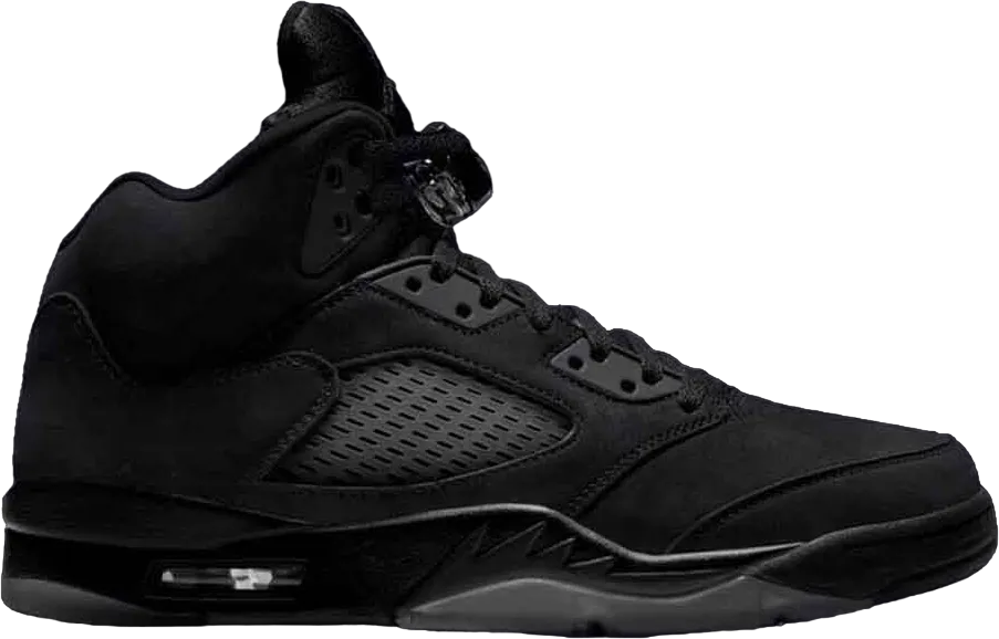 Air Jordan 5 Black Cat