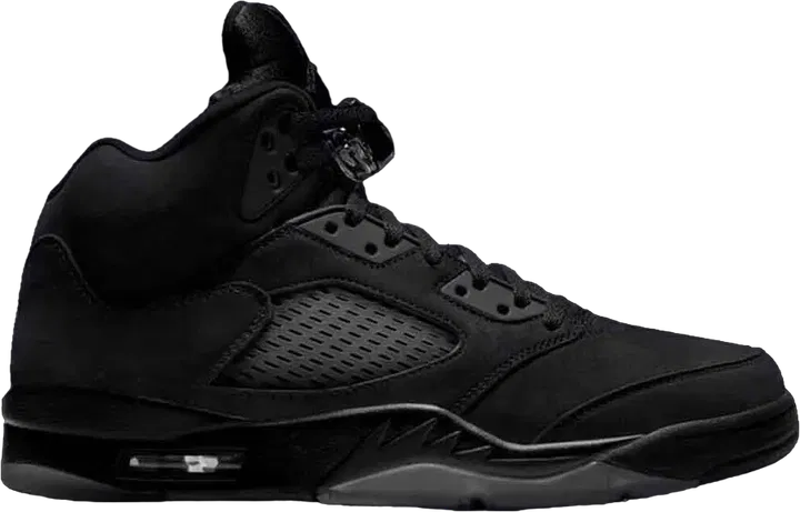 Air Jordan 5 Black Cat