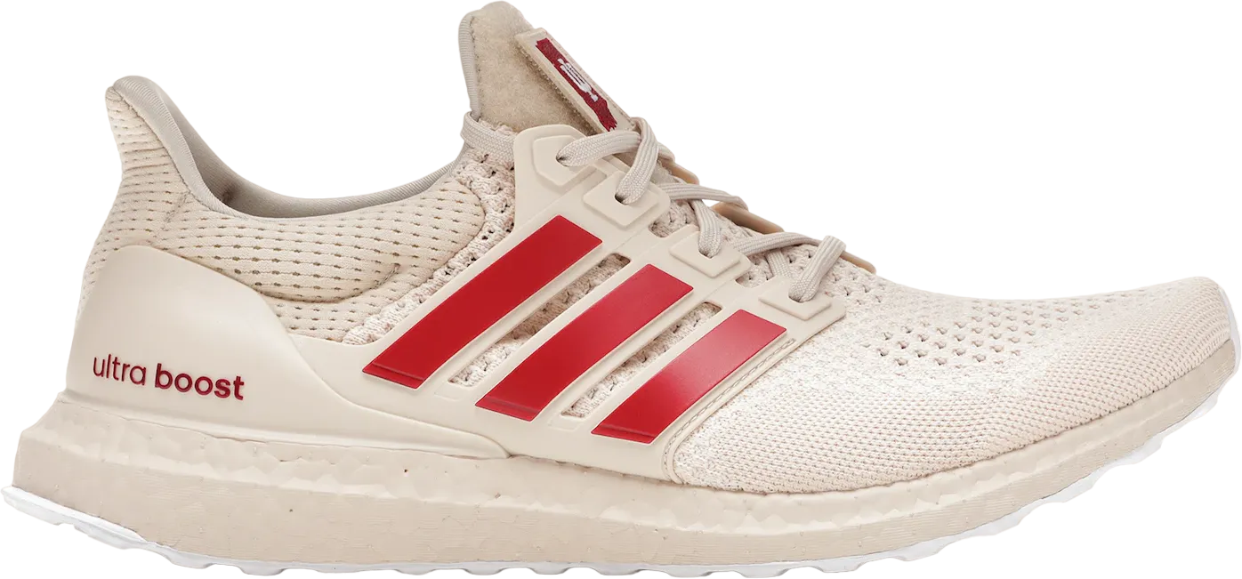 adidas Ultra Boost 1.0 Indiana