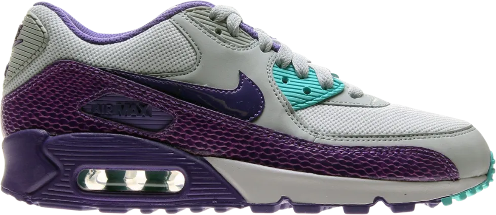 Nike Air Max 90 Silver wing Hyper Grape