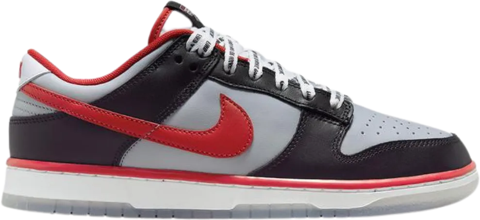 Nike Dunk Low CAU