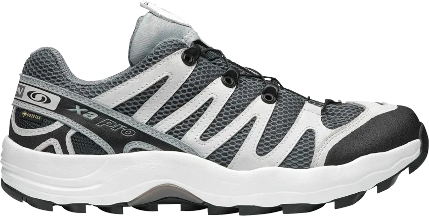 Salomon XA-Pro 1 Gore-Tex