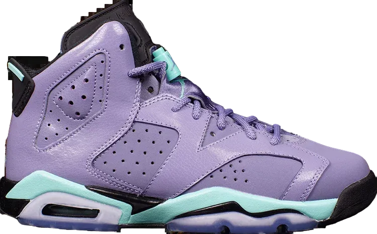 Air Jordan 6 GG Iron Purple