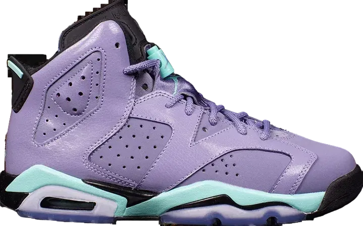Air Jordan 6 GG Iron Purple