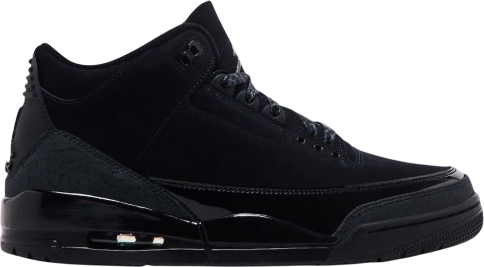 Air Jordan 3 Black Cat
