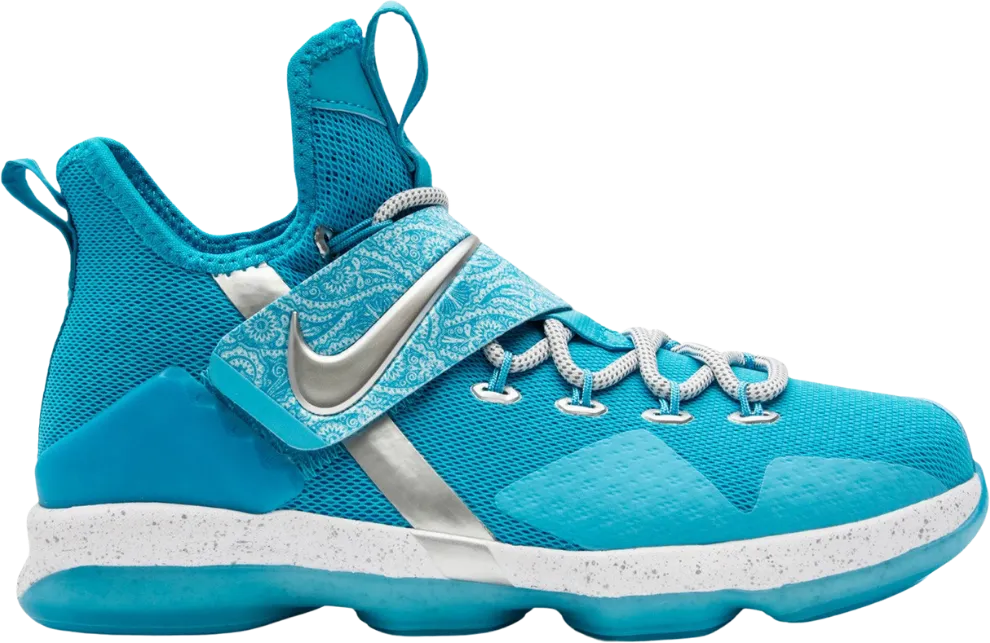Nike LeBron 14 Ric Flair (GS)