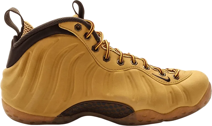 Nike Air Foamposite One