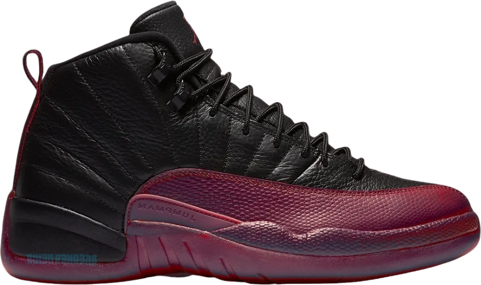 Air Jordan 12 Retro Flu Game 2016