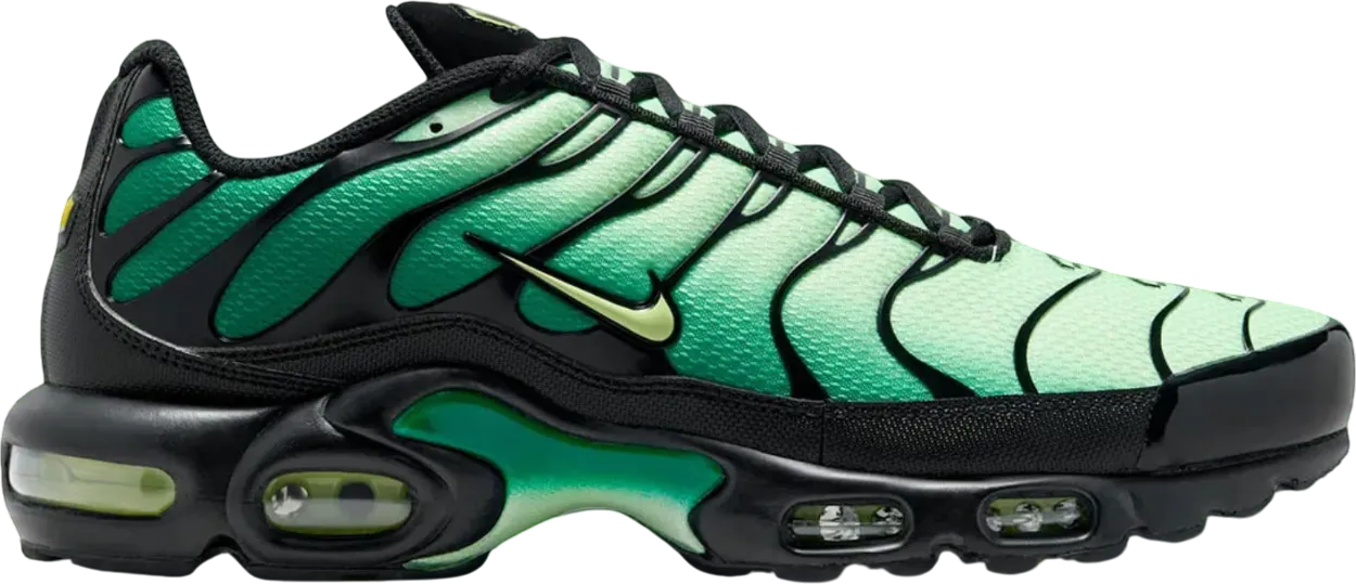 Nike Air Max Plus Vapor Green Gradient