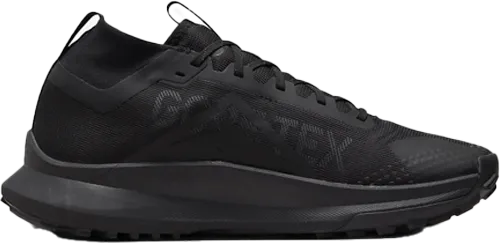 Nike Pegasus Trail 4 GORE-TEX Black