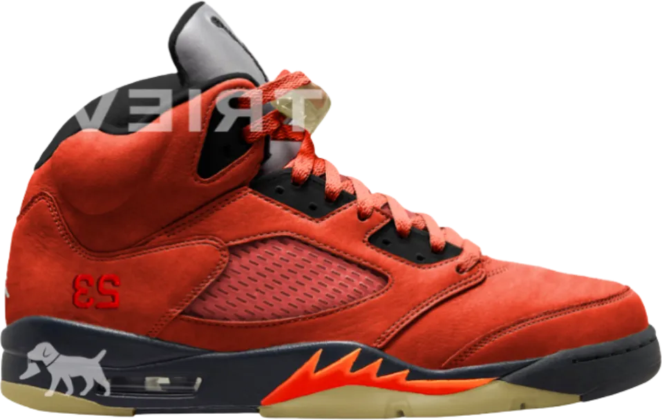 Air Jordan 5 Retro Dunk on Mars