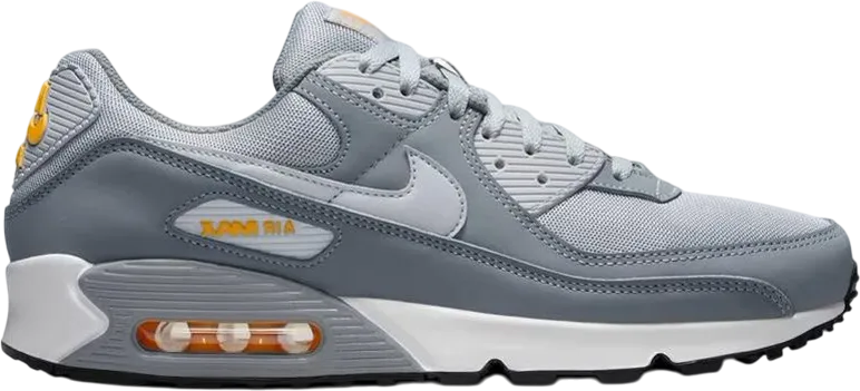 Nike Air Max 90 Cool Grey