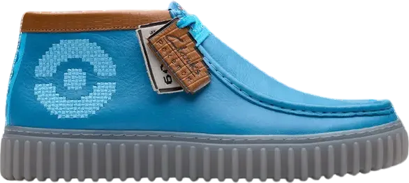 Clarks Pokémon x Torhill Explore Endgame Pack Blastoise