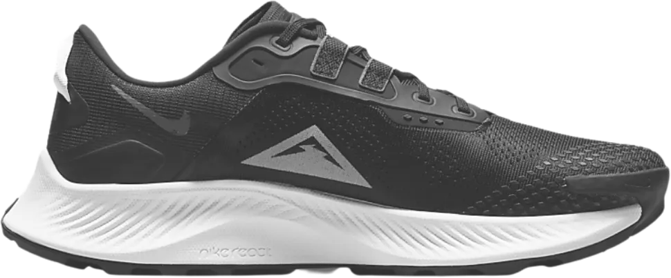 Nike Pegasus Trail 3
