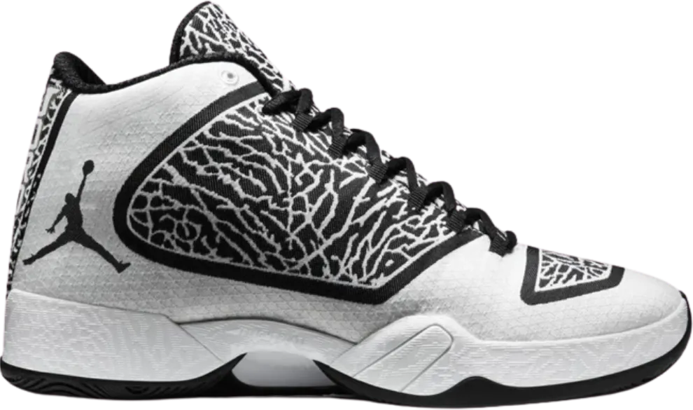Air Jordan XX9 Black White