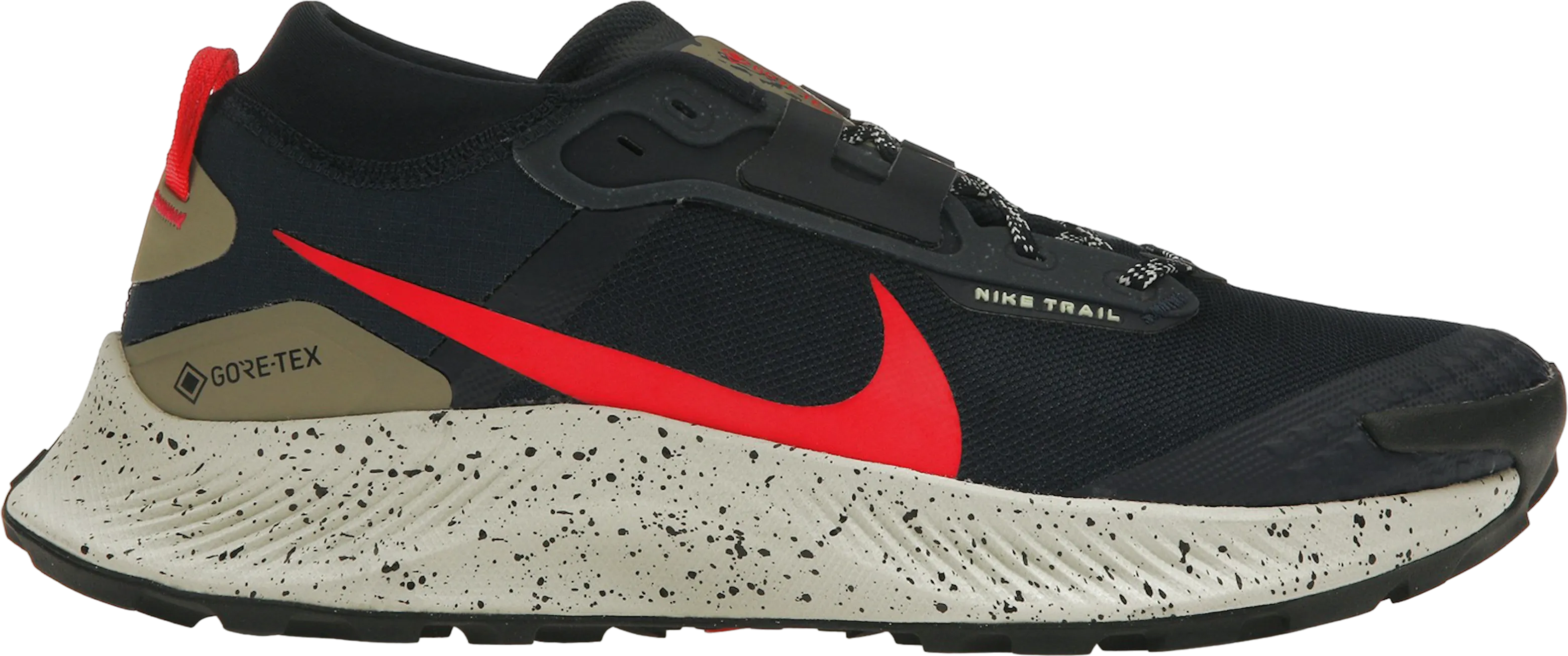 Nike Pegasus Trail 3 Gore-Tex