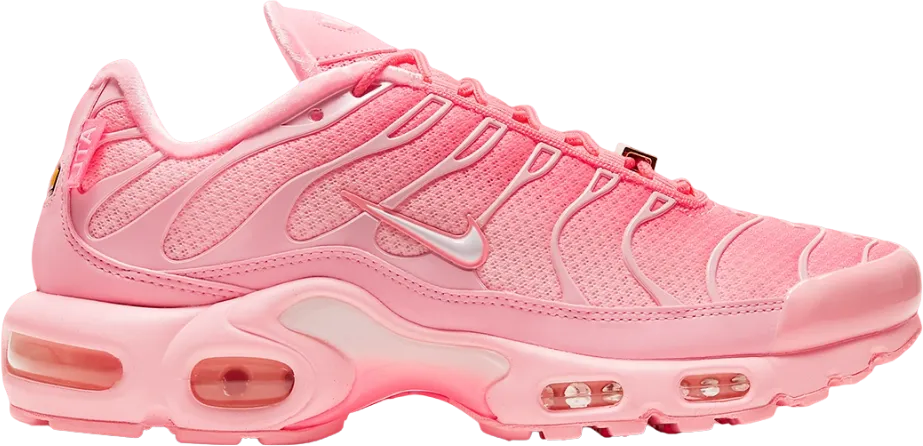 Nike Air Max Plus City Special ATL (Women's)