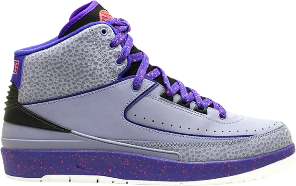 Air Jordan 2 Retro Iron Purple