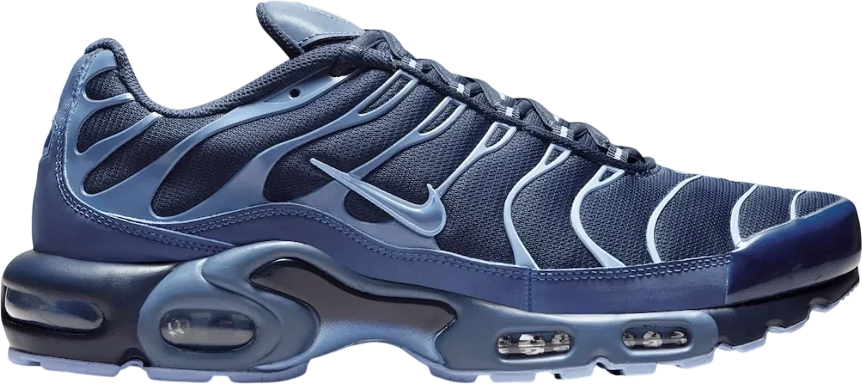 Nike Air Max Plus Obsidian Aluminum