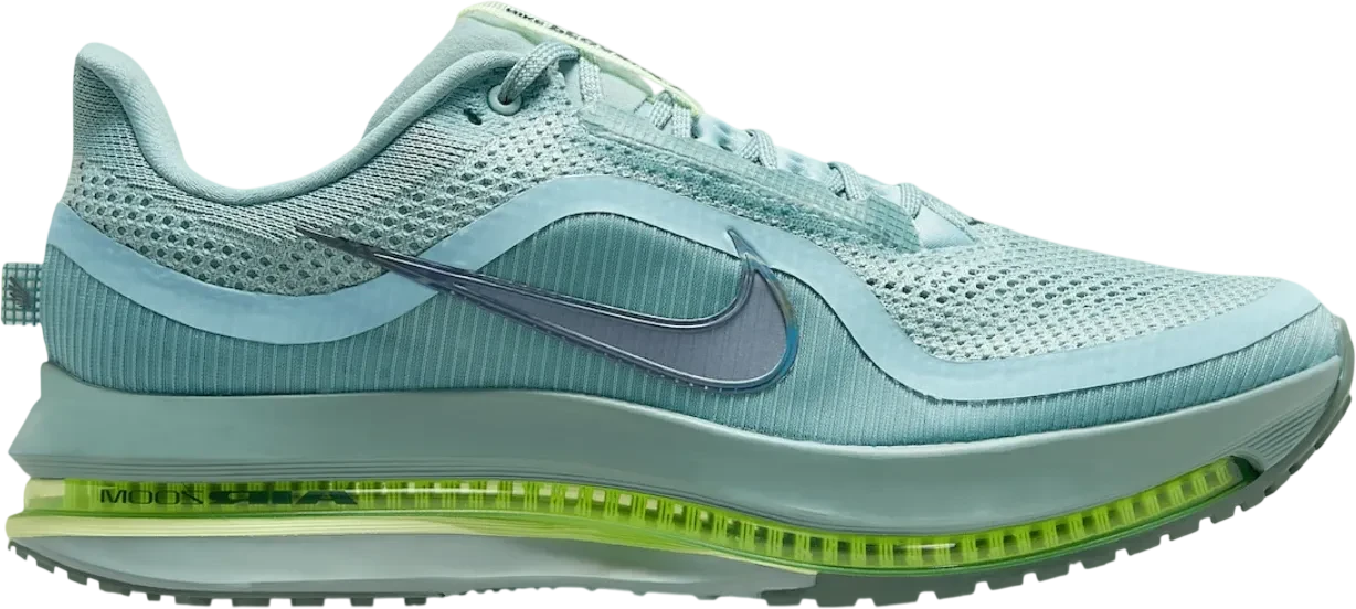 Nike Pegasus Premium Cannon