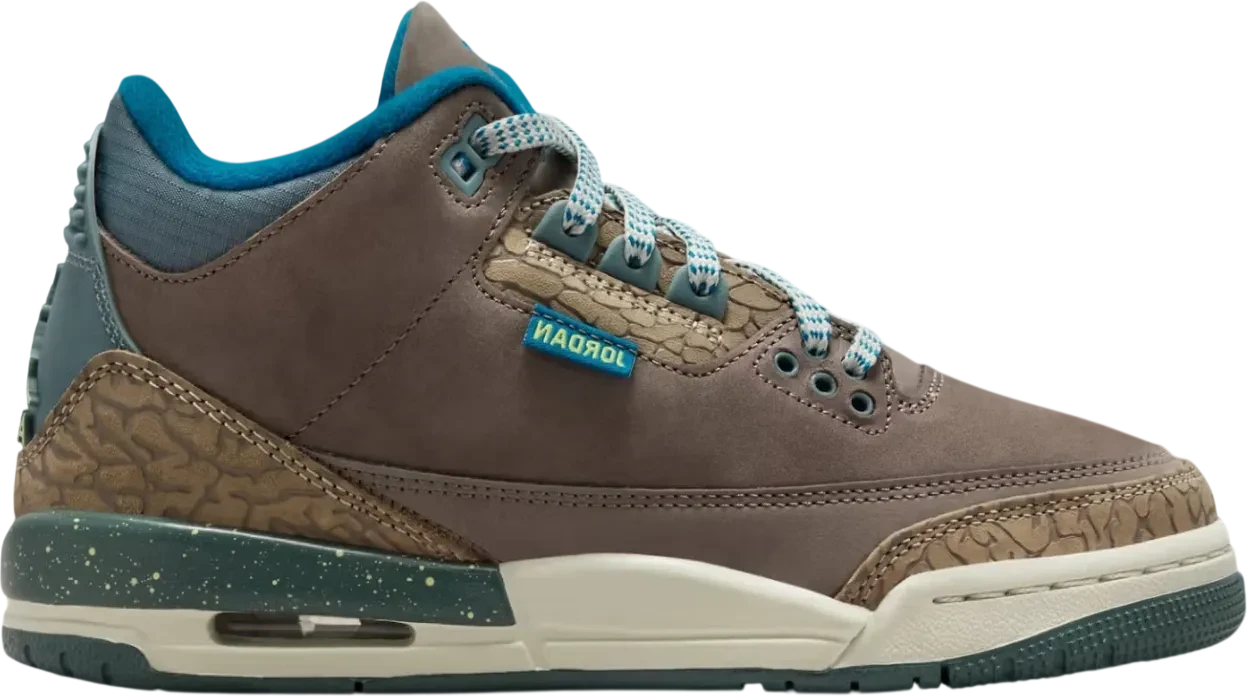 Air Jordan 3 GS We Out Side