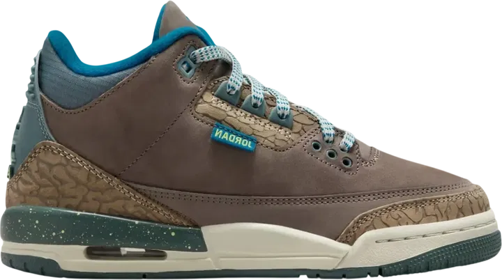 Air Jordan 3 GS We Out Side