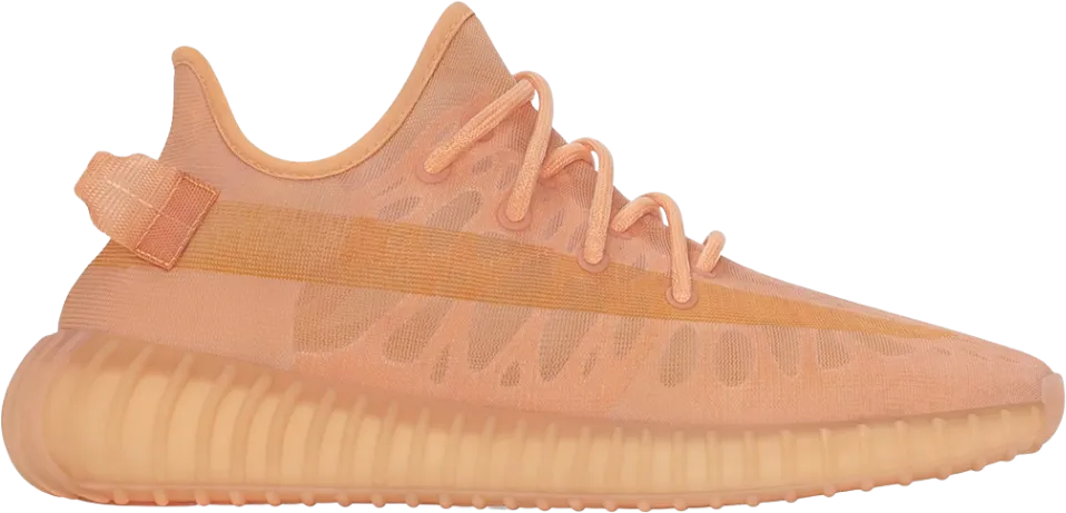 adidas Yeezy Boost 350 V2
