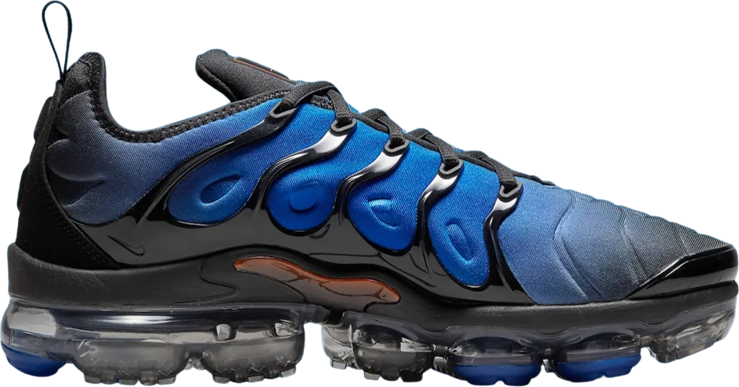 Nike Air VaporMax Plus Blue 